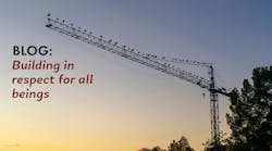 Blog Birds 101123